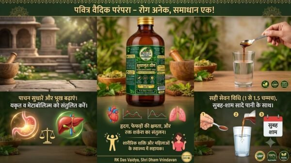 ब्रजवासी नागरिया क्षुधामृत योग 500 मिलीलीटर – उत्पाद जानकारी