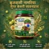 ब्रजवासी नागरिया सुपर केशरी च्यवनप्राश – उत्पाद की जानकारी